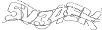 Check code
