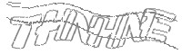 Check code